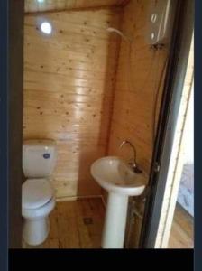 a bathroom with a toilet and a sink at Eco Aura Areguni in Vardenis