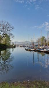 een jachthaven met boten aangemeerd in het water bij Laguna24 Jezioro Żywieckie Klimatyzowany apartament 40 m2 in Zarzecze