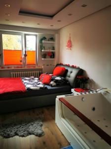 uma sala de estar com uma cama e um sofá em Jacuzzi Apartament em Toruń