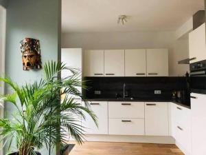 une cuisine avec des armoires blanches et deux plantes en pot dans l'établissement Compleet huis in Nijmegen, à Nimègue
