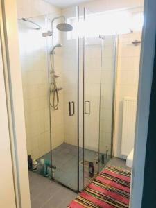 een glazen douche in de badkamer met een tapijt bij Compleet huis in Nijmegen in Nijmegen