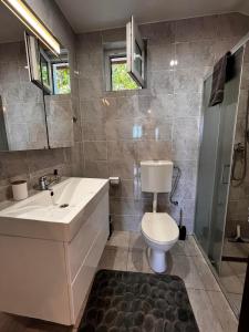 a bathroom with a sink and a toilet at Vila Legrand in Baziaş