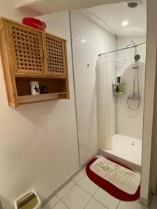 a bathroom with a shower and a red towel on the floor at Pichot in Montréal