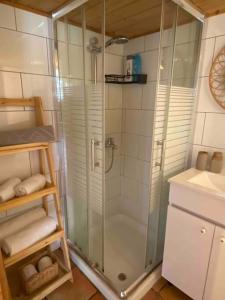 W łazience znajduje się prysznic i umywalka. w obiekcie Bit cabin near the airport w mieście Kefar Daniyyel