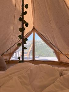 a bedroom with a tent with a tree in it at Alereks Mountain Camping in Dsegh