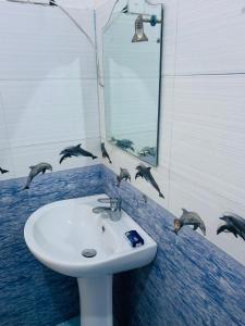 uma casa de banho com lavatório e golfinhos na parede em Red Rose Ella em Ella