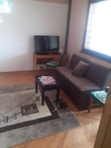 a living room with a couch and a table at NIKOLIĆ APARTMAN in Vranje