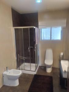 a bathroom with a shower and a toilet and a sink at Bela moradia T3, solarenga e espaçosa 