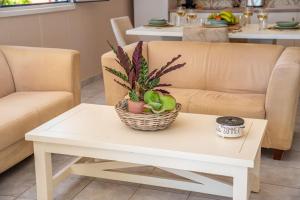 Istumisnurk majutusasutuses Gaia Residences with lush garden and pool