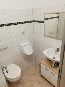 La salle de bains est pourvue de toilettes et d'un lavabo. dans l'établissement Ferienwohnung mit Garten und terasse Münsingen, à Münsingen