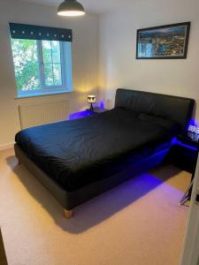 1 dormitorio con 1 cama grande con luces moradas en Contemporary Coach House in Newport, Isle of Wight en Newport