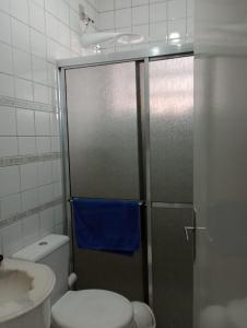 a bathroom with a shower with a toilet and a sink at Casa para temporada - Campos do Jordão in Campos do Jordão