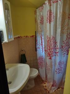 e bagno con tenda per la doccia, servizi igienici e lavandino. di Casa Alisea a Castellaneta