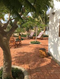 un patio con hamacas y un árbol en un parque en La casa blanca b&b, en Vichayito