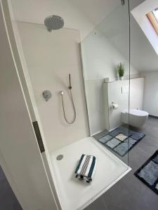 a white bathroom with a shower and a toilet at Ferienwohnung Valentin in Passau