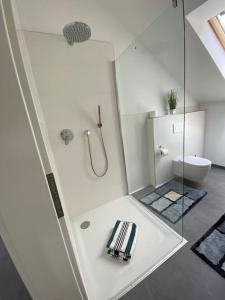 a white bathroom with a shower and a toilet at Ferienwohnung Valentin in Passau +5 photos