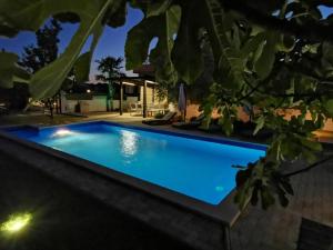 a swimming pool in a backyard at night at Apartment with pool Adria in Marčana