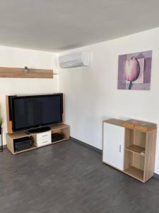 TV a/nebo společenská místnost v ubytování Ferienwohnung Felina