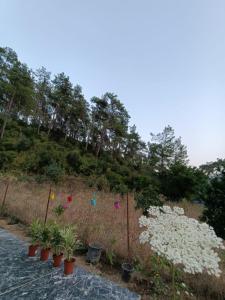 un giardino con fiori bianchi e una recinzione di Doğayla iç içe huzur dolu deneyim a Muğla