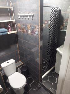 een badkamer met een toilet en een douche bij Vegus apartment in Naujoji Akmenė