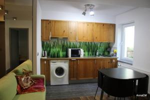 a kitchen with a washer and dryer in a room at Apartament Anna in Srebrna Góra