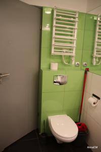 a bathroom with a toilet and green walls at Apartament Anna in Srebrna Góra