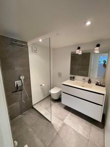 La salle de bains est pourvue d'une douche, d'un lavabo et de toilettes. dans l'établissement Nyistandsat højloftet kælderlejlighed på 70 m2 i Viborg centrum, med plads til 4 personer, à Viborg