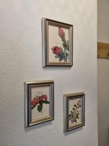 four framed paintings of flowers on a wall at Modern-Ruhig-Stadtnah-Geschirrspüler-Parkplatz in Pasewalk