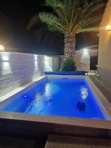 a swimming pool with a palm tree in the background at La Villetta di Leonardo, con piscina privata in Campofelice di Roccella