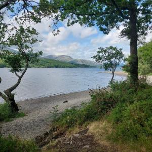a beach with trees and a body of water at Newland Valley Log Cabins in Ulverston