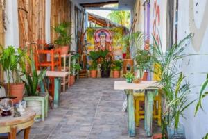 a room filled with lots of plants and tables at Departamento cerca del Ferry y del Centro de Holbox in Holbox Island