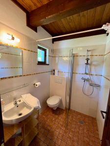 a bathroom with a toilet and a sink and a shower at Kaproun - Studený pramen in Kunžak