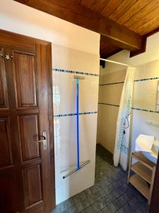 a bathroom with a shower with a blue stripe on the wall at Kaproun - Studený pramen in Kunžak