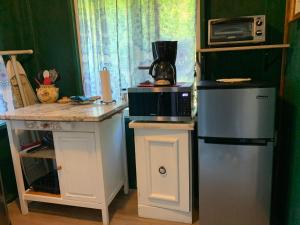 a kitchen with a counter with a microwave and a refrigerator at The Cottage at Ohia Kai. TVNCU#1354 in Kapaa