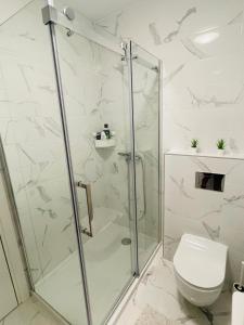 a bathroom with a shower and a toilet at Apartment Park in Novi Sad
