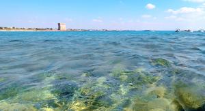 a large body of water with a building in the background at Salento Houses & Idro Suites in Nardò