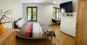 Schlafzimmer mit einem Bett, einem TV und einem Schreibtisch in der Unterkunft Mountain View Guest Rooms in Jedlina-Zdrój