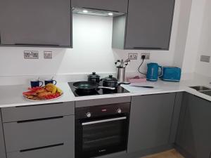 Kuchyň nebo kuchyňský kout v ubytování City Centre Apartments, Free Parking - Quality City