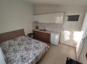 Kuchyň nebo kuchyňský kout v ubytování Villa Rain Cesme + 7 fotografií