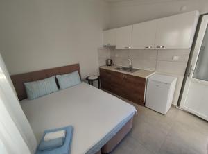 Kuchyň nebo kuchyňský kout v ubytování Villa Rain Cesme