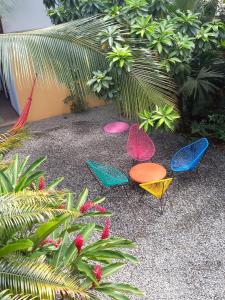 Taman di luar Pagalù Hostel
