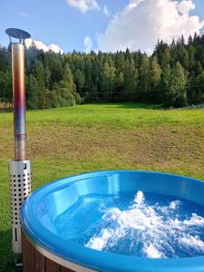 a blue hot tub in a field with a field at Agroturystyka u Chlebków in Ochotnica Górna