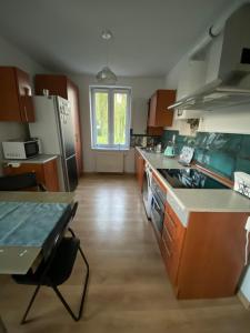 Kuchyňa alebo kuchynka v ubytovaní Apartament Czytelnia - parking gratis