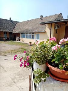 Zgrada u kojoj se nalazi apartman