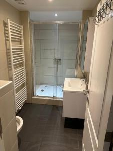 y baño con ducha, lavabo y aseo. en Modern apartament 1 bedroom+living, en Bruselas