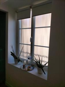 una finestra con due piante e un piatto di cibo su un davanzale di Chambre d hôte a Falaise