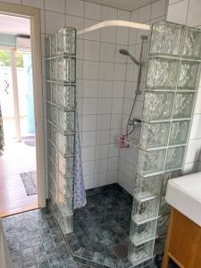 Ljunghusen Guesthouse : حمام مع دش مع رفوف زجاجية واضحة