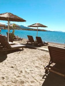 Φυσικό τοπίο κοντά σε αυτό το διαμέρισμα