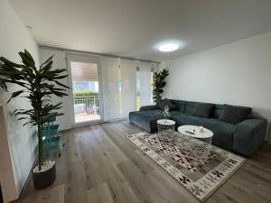 a living room with a blue couch and a potted plant at Deluxe Family Appartements Haem in Buchheim