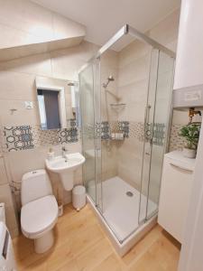 ein Bad mit einer Dusche, einem WC und einem Waschbecken in der Unterkunft Limanowa Sunriser Apartment in Limanowa